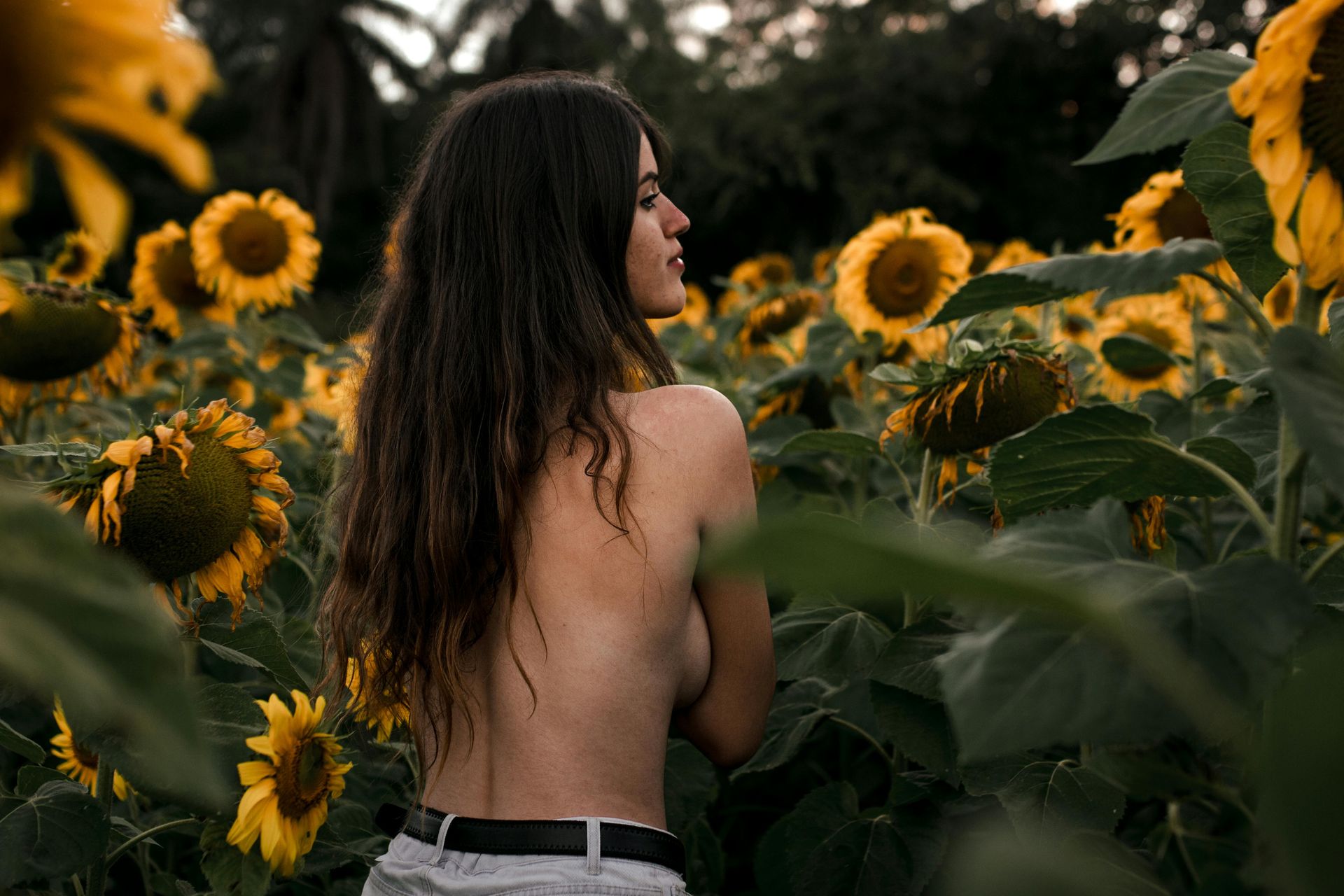 A woman with long hair standing in a sunflower field, symbolizing natural well-being, purity, and harmony with nature. Represents Scentriq’s mission to create eco-friendly nebulizing diffusers and pure essential oils that enhance health and productivity. A woman with long hair standing in a sunflower field, symbolizing natural well-being, purity, and harmony with nature. Represents Scentriq’s mission to create eco-friendly nebulizing diffusers and pure essential oils that enhance health and productivity.