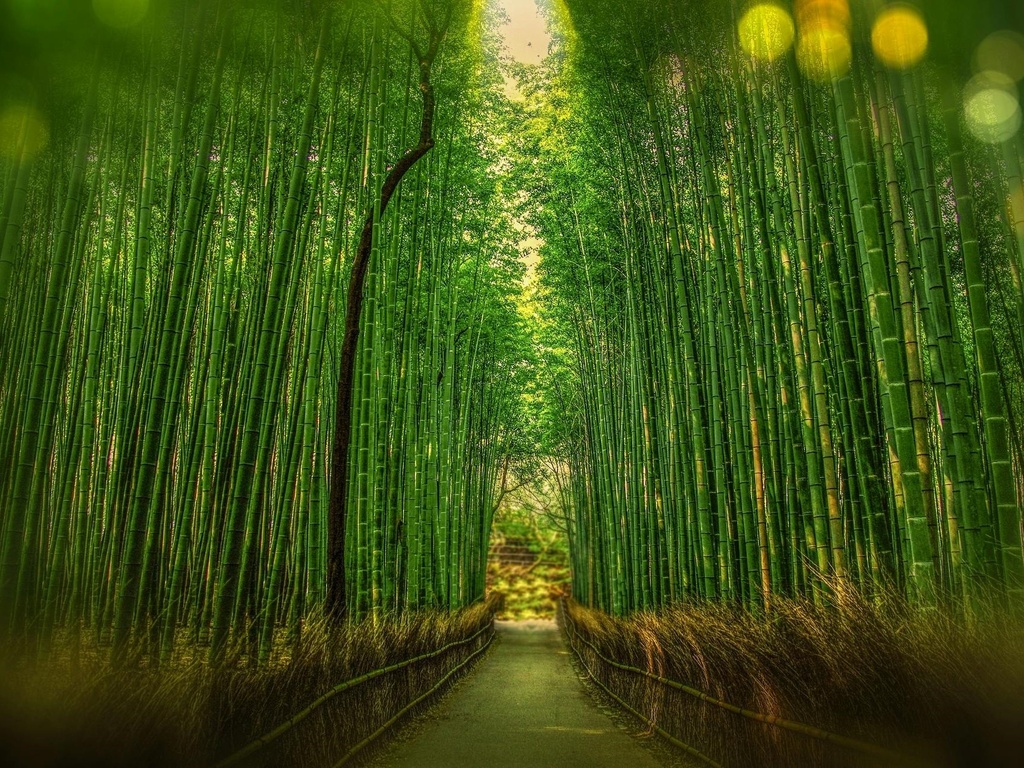 Bamboo Boost Essential Oil