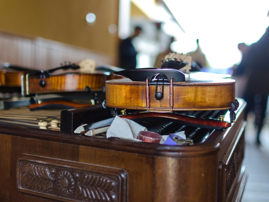 Violini Veneziana Subscription Plan