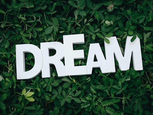 [L0005421] Dazzling Dream Essential Oil